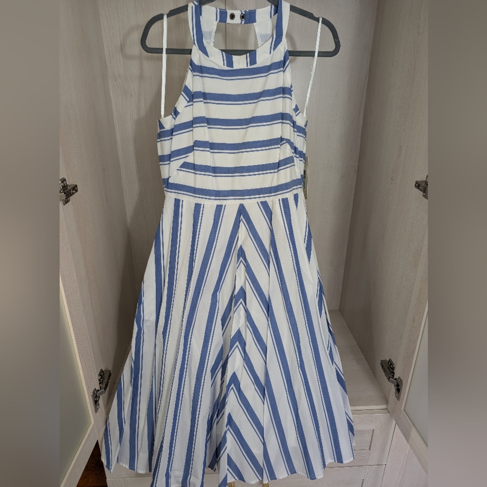 Eliza J Blue and White Striped Dress